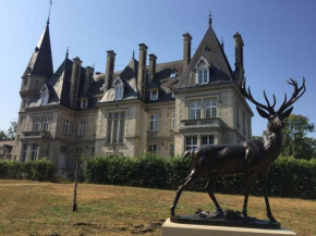 Napoleon Chateau Luxuryapartment for 18 -20 guests with Pool near Paris!, Saint-Jean-Aux-Bois